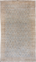 Antique Agra Area Rug (9' x 17')